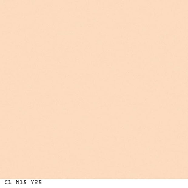 COVERGIRL Smoothers Pressed Powder Translucent Light.32 Ounce (packaging may vary)