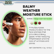 GOOD WEIRD Highlighter: Balmy Weather Blush Stick - MANGO (Terracotta) 15 oz