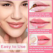 Lip Balm Honey Pot, Honey & Lip(2