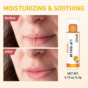 DMSKY 60 Pack Lip Balm, Natural