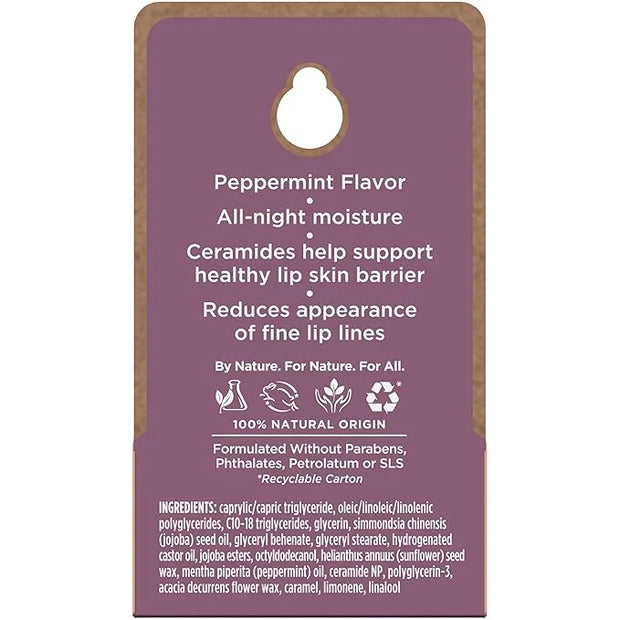 Burt's Bees Overnight Intensive Lip Treatment,