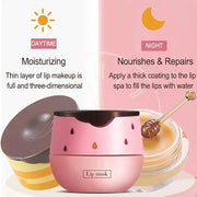 Bee Lip Balm Honey Pot, 4