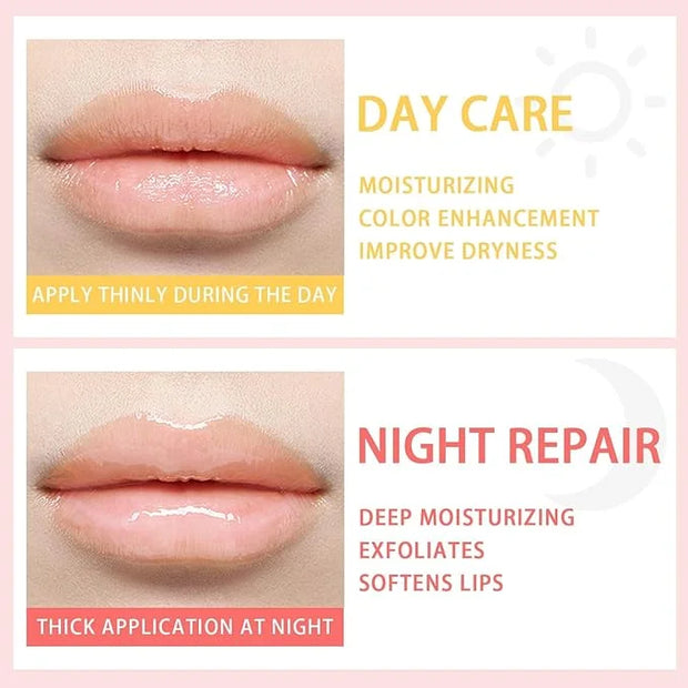 2 Pcs Bee Lip Balm Honey