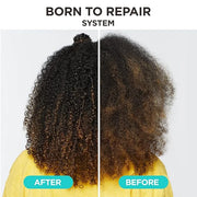 Carol's Daughter Born To Repair Nourishing Conditioner, Sulfate-Free Hair Care for Curly Hair with Shea Butter, 11 Fl Oz -...