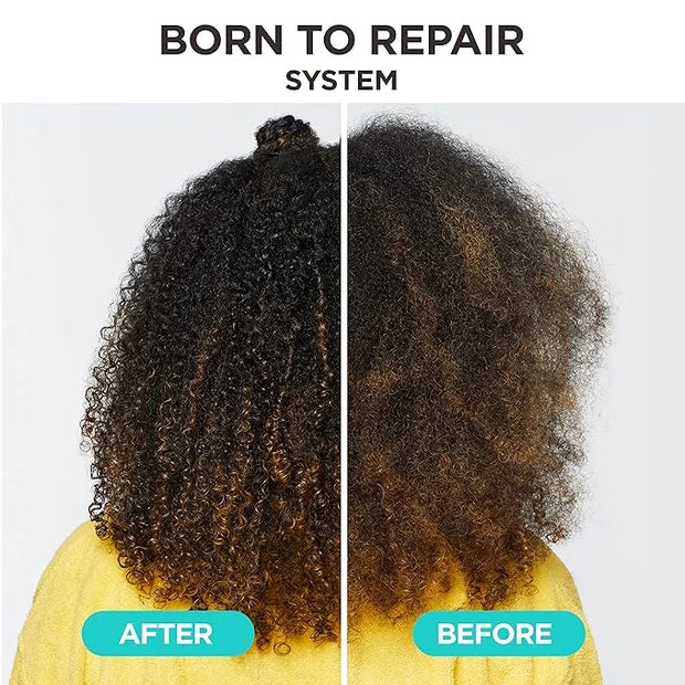 Carol's Daughter Born To Repair Nourishing Conditioner, Sulfate-Free Hair Care for Curly Hair with Shea Butter, 11 Fl Oz -...