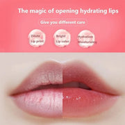 6PCS Bee Lip Balm Honey Pot，Honey&Strawberry&Watermelon&Cherry&Apple&Coconut