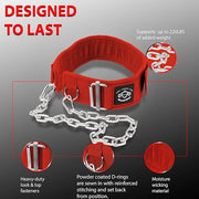 2 in 1 Weight Lifting & Weighted Dip - Product Image