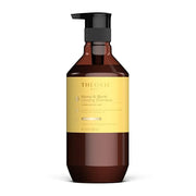 Theorie Monoi and Buriti Glossing Shampoo - Hydrate & Shine - Suited for Coarse and Dry Hair - Protects Color & Keratin Tr...