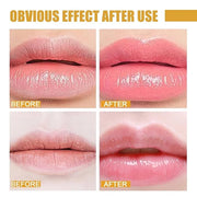 4 Pcs Lip Balm Honey Pot,