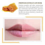 2 PCS Bee Honey Lip Balm