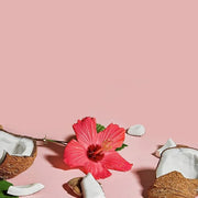 SheaMoisture Moisturize and Define Shampoo, Conditioner and Styling Milk for Curly Hair Care Coconut and Hibiscus with She...