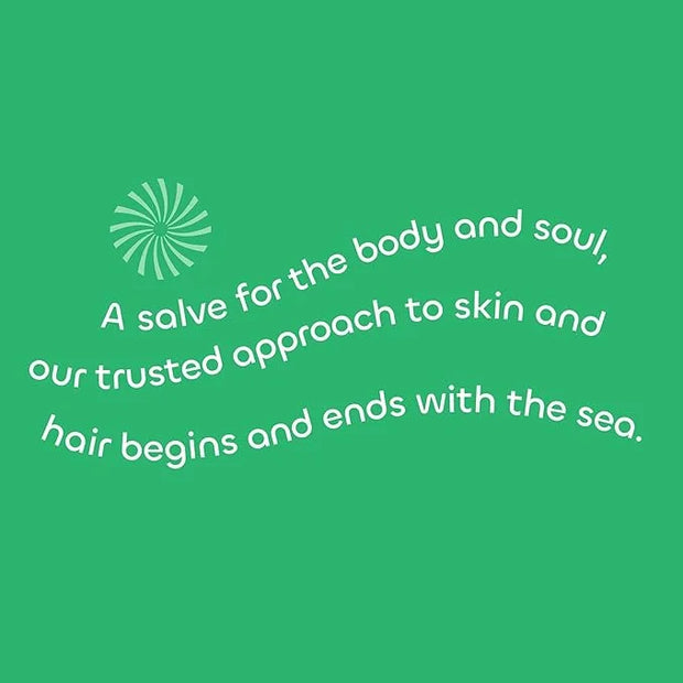 Seaweed Bath Co. Detox Body Scrub, Rosemary Mint Scent, 6 Ounce, Sustainably Harvested Seaweed, French Sea Clay, Coffee Ex...