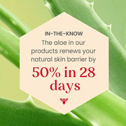 BURTS BEES SPF 30 Calming Day Face Lotion With Aloe and Rice Milk for Sensitive Skin, Sunscreen Face Lotion Soothes Rednes...