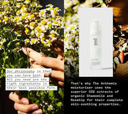 PAI SKINCARE - The Anthemis: Organic Chamomile + Rosehip Soothing Facial Moisturizer | Natural, Vegan, Sensitive Skincare ...