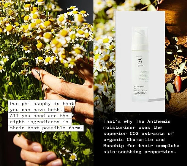 PAI SKINCARE - The Anthemis: Organic Chamomile + Rosehip Soothing Facial Moisturizer | Natural, Vegan, Sensitive Skincare ...