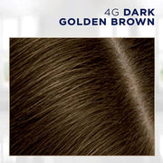 Clairol Root Touch-Up by Nice'n Easy Permanent Hair Dye, 4G Dark Golden Brown Hair Color, Pack of 4 - Product Image