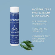 Fragrance Free Bulk Lip Balm Collection, Lips,