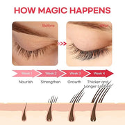 Eyelash Growth Serum, Lash Serum for Eyelash Growth, Eyelash Serum to Grow Lashes in 3-4 Weeks, Lash Growth Serum & Brow G...