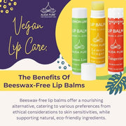 Citrus Lip Balm Collection, Vegan Lip Lips,