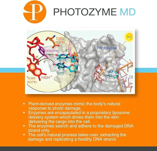 PHOTOZYME iQuad Total Eye Therapy with DNA Repair Enzymes | Anti Aging Eye Cream | Use to Reduce Bags, Dark Circles, Puffi...