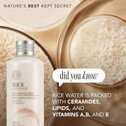 The Face Shop Rice Ceramide Moisturizing Emulsion - Rice Extract - Lightweight Face Moisturizer - Brightening - Hydrating ...