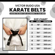 Karate Belt, All-Purpose Martial Arts Belt, Judo, Taekwondo 0-6. - Product Image