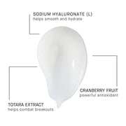 ARCONA Magic White Ice - Daily Oil Free Moisturizer - Hyaluronic Acid Moisturizer with Organic Aloe, Tea Tree, Vitamin C &...