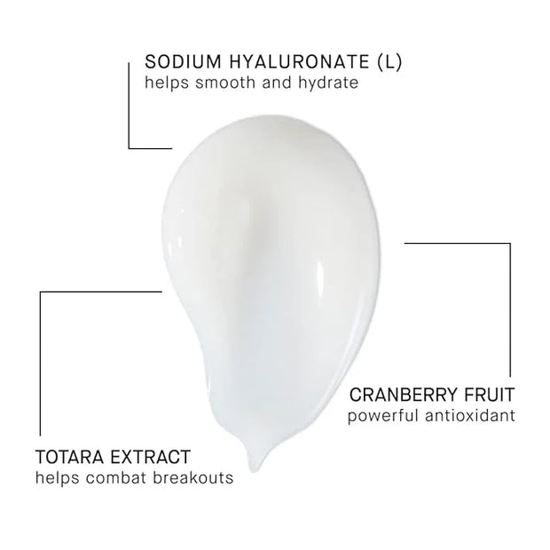 ARCONA Magic White Ice - Daily Oil Free Moisturizer - Hyaluronic Acid Moisturizer with Organic Aloe, Tea Tree, Vitamin C &...