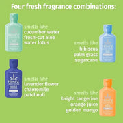 Hempz Mini Lotion Kit, Beauty Actives, 4-Pack Body Moisturizer, Travel Essentials, 2.25 oz - Product Image