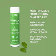 Mint Lip Balm Collection, Vegan Lip Lips,