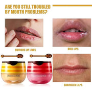 2 Pcs Honey Pot Lip Balm,