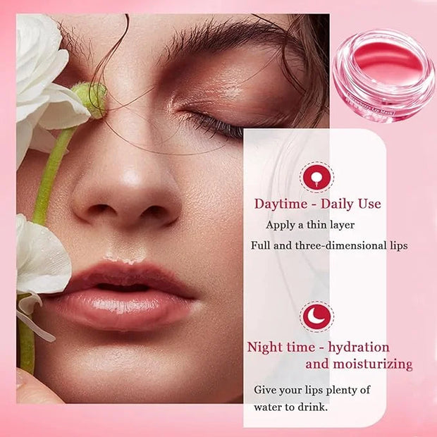Honey Lip Balm Pot, 4 PCS