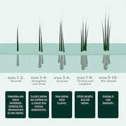 Eyelash Serum:Boost lash length, thickness, and strength with TUDPA's advanced, natural eyelash growth serum. 0.1 Fl. Oz (...