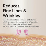 iUNIK Centella Mini Set, Travel Friendly Skincare Set, Ultra calming and hydrating for sensitive skin: Tea Tree Relief Ton...
