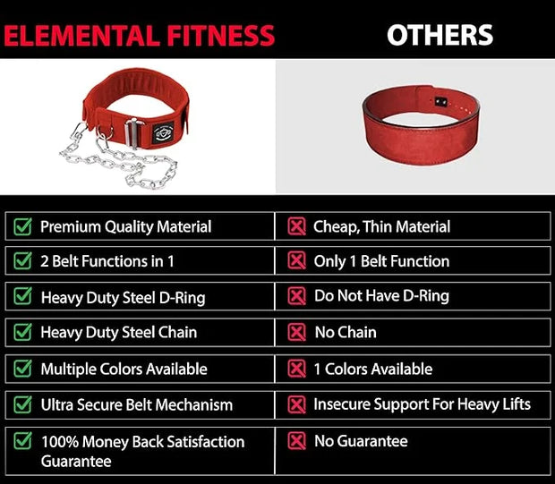 2 in 1 Weight Lifting & Weighted Dip - Product Image