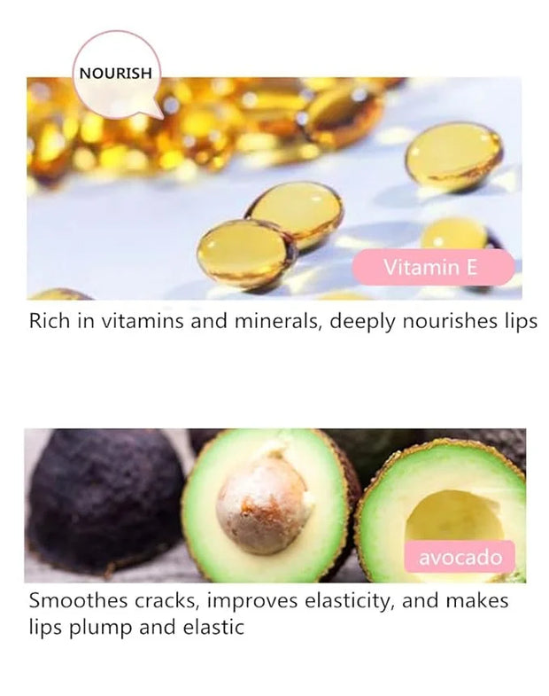 Avocado Lip Balm Vitamin E Conditioning