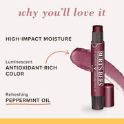 Burt's Bees Shimmer Lip Tint Set,