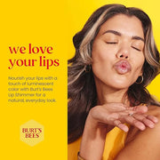 Burt's Bees Shimmer Lip Tint Set,