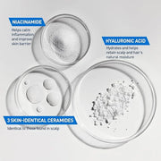 CeraVe Gentle Hydrating Conditioner, Hair Conditioner With Ceramides, Niacinamide & Hyaluronic Acid, Sulfate Free & Color ...