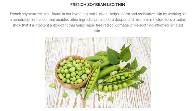 Pistaché Skincare Pistachio Oil Dewy Face Beauty Duo Set + Hyaluronic Acid Face Serum & Face Moisturizer + Hydrates and No...
