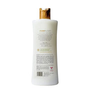 RAW SUGAR Simply Body Wash, (25 Fl Oz, Pack of 1) Bath Soap, Formulated without Sulfates & Parabens (Watermelon + Fresh Mi...