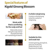 Daeng Gi Meo Ri- Ki Gold Ginseng Blossom 2 Shampoo Set, Real Ginseng Inside, Herbal Shampoo, Hair Growth, Preventing Hair ...