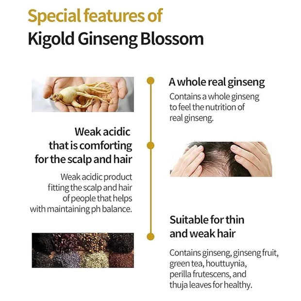Daeng Gi Meo Ri- Ki Gold Ginseng Blossom 2 Shampoo Set, Real Ginseng Inside, Herbal Shampoo, Hair Growth, Preventing Hair ...