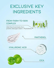 BEYOND Phyto Aqua Repair Face Serum (1.35 fl oz) & Angel Aqua Moisture Skincare Set (11.2fl oz, 3-Piece Set) - Vegan Formu...