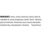 Burt's Bees Conditioning Honey Lip Scrub,