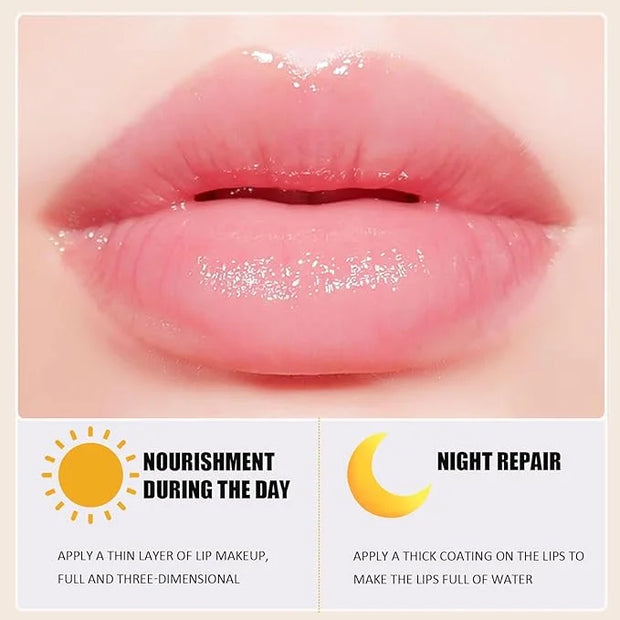 4PCS Bee Lip Balm Honey Pot,