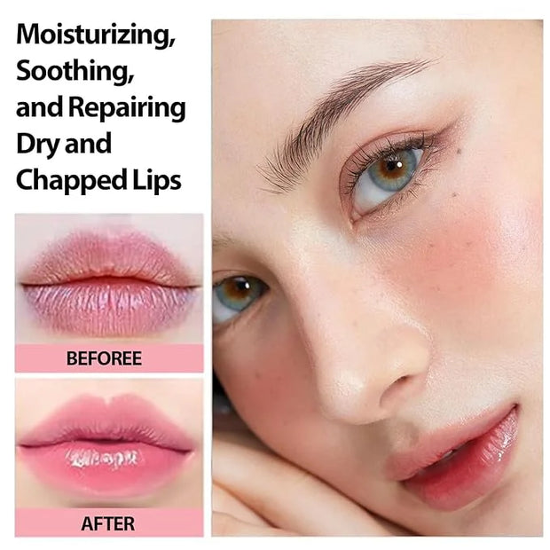 5 Pack Tinted Lip Balm With