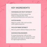 Bliss What a Melon Replenishing Watermelon Hyaluronic Acid Toner - 7 Fl Oz - Witch Hazel & Willow Bark - Hydrates, Refresh...