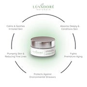 Flawless Fruits Antioxidant Mask – Lavender and Peach Face Masks Skincare Enriched with Red Wine, Green Tea Extracts – Rev...
