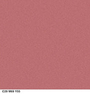 COVERGIRL Trunaked Quad Eyeshadow Palette, Glamping, Desert Glamping, 0.06 Ounce (Pack of 2) - Product Image